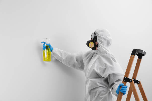 Best Mold Odor Removal Services  in Rexland Acres, CA